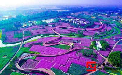 三臺山國家森林公園+項王故里團建拓展活動