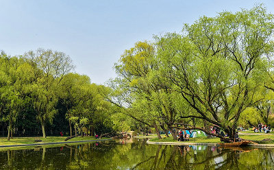 共青森林公園一日游公司團(tuán)建+燒烤拓展訓(xùn)練